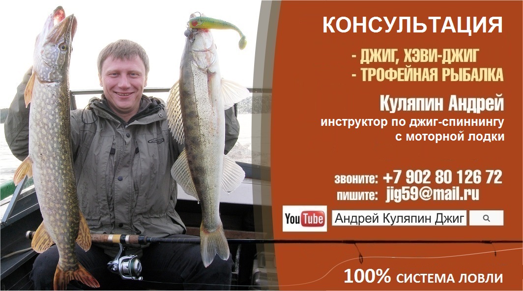 Куляпин Андрей_Консультации 100% СИСТЕМА