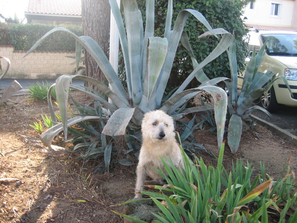 EBD8BC58-46C3-48C3-9CEE-D0A41C0DF9E2