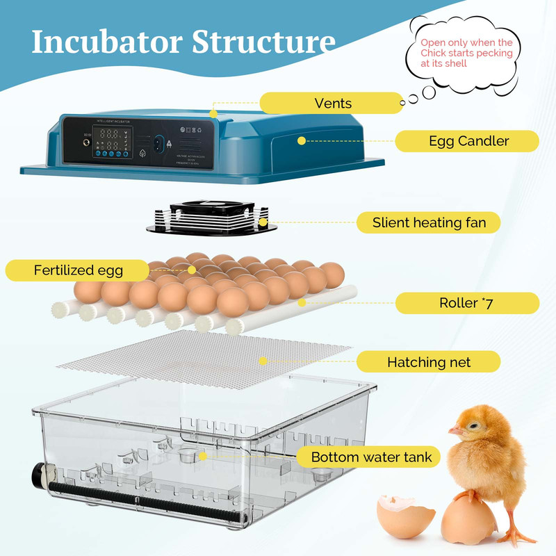 16/36 Eggs Incubator Clear For Poultry Hatching Machine Automatic Turning