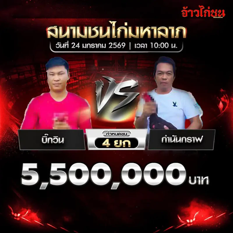 โปรแกรมไก่ชน คู่เด่น บิ๊กวิน พบ เพชรมงคลชัย สนามชนไก่มหาลาภ 24 มกราคม 2569