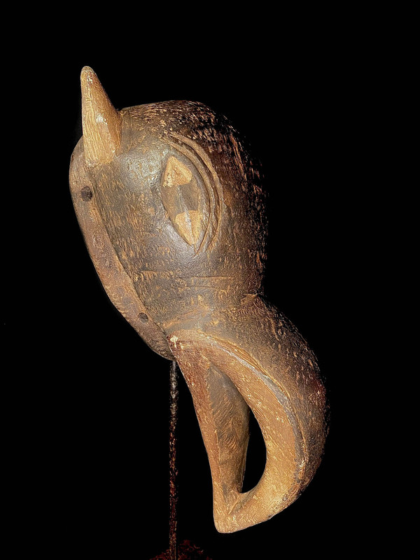 large image 1