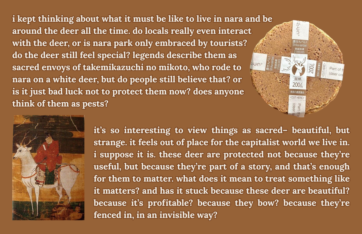 The fifth page of a zine titled 'the deer in nara are easy to love'.