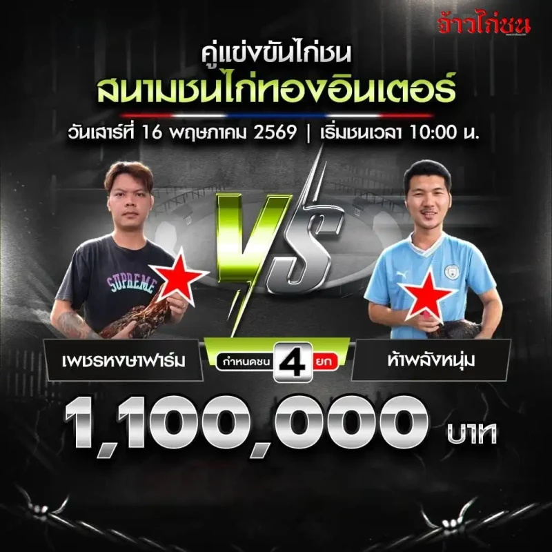 เพชรหงษาฟาร์ม vs ห้าพลังหนุ่ม โปรแกรมไก่ชน สนามชนไก่ทองอินเตอร์ 16 พฤษภาคม 2569