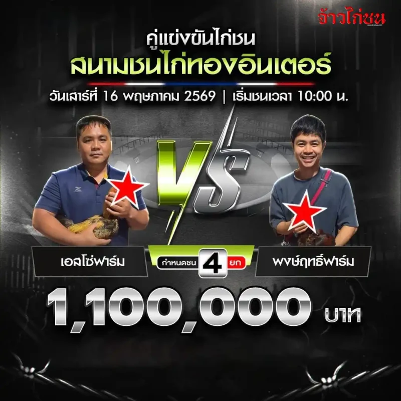 เอสโซ่ฟาร์ม vs พงษ์ฤทธิ์ฟาร์ม โปรแกรมไก่ชน สนามชนไก่ทองอินเตอร์ 16 พฤษภาคม 2569