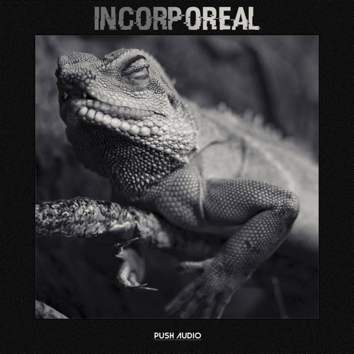 Incorporeal (2020) mp3 320 Kbps