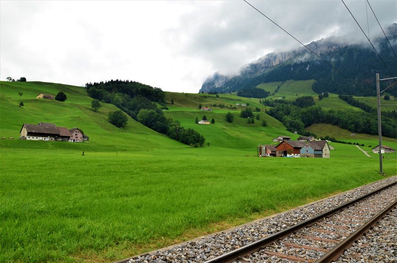 Suiza y sus pueblos-2019 - Blogs de Suiza - APPENZELL-6-9-2019 (22)