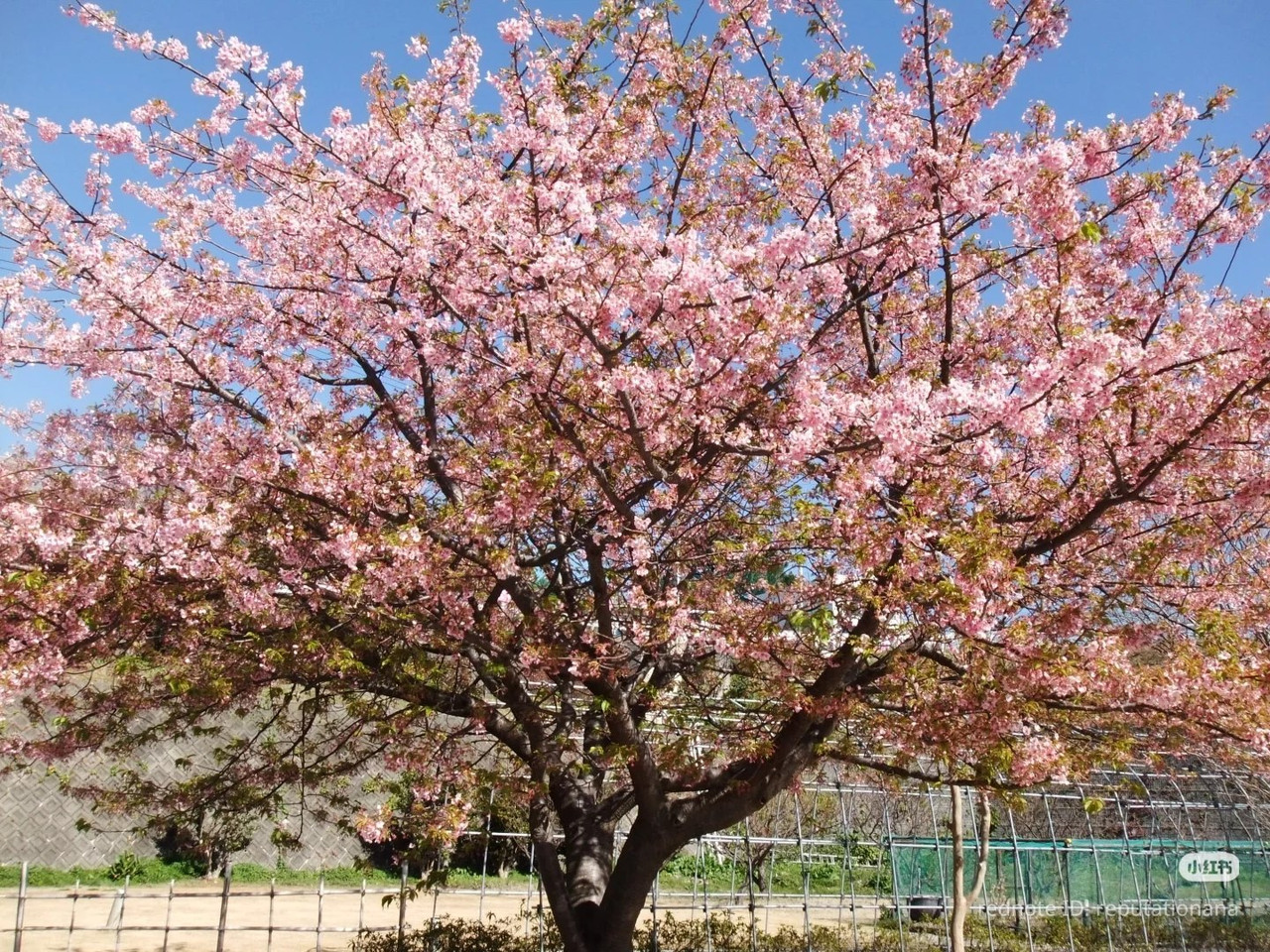 photo 32 2025 12 17 21 28 21