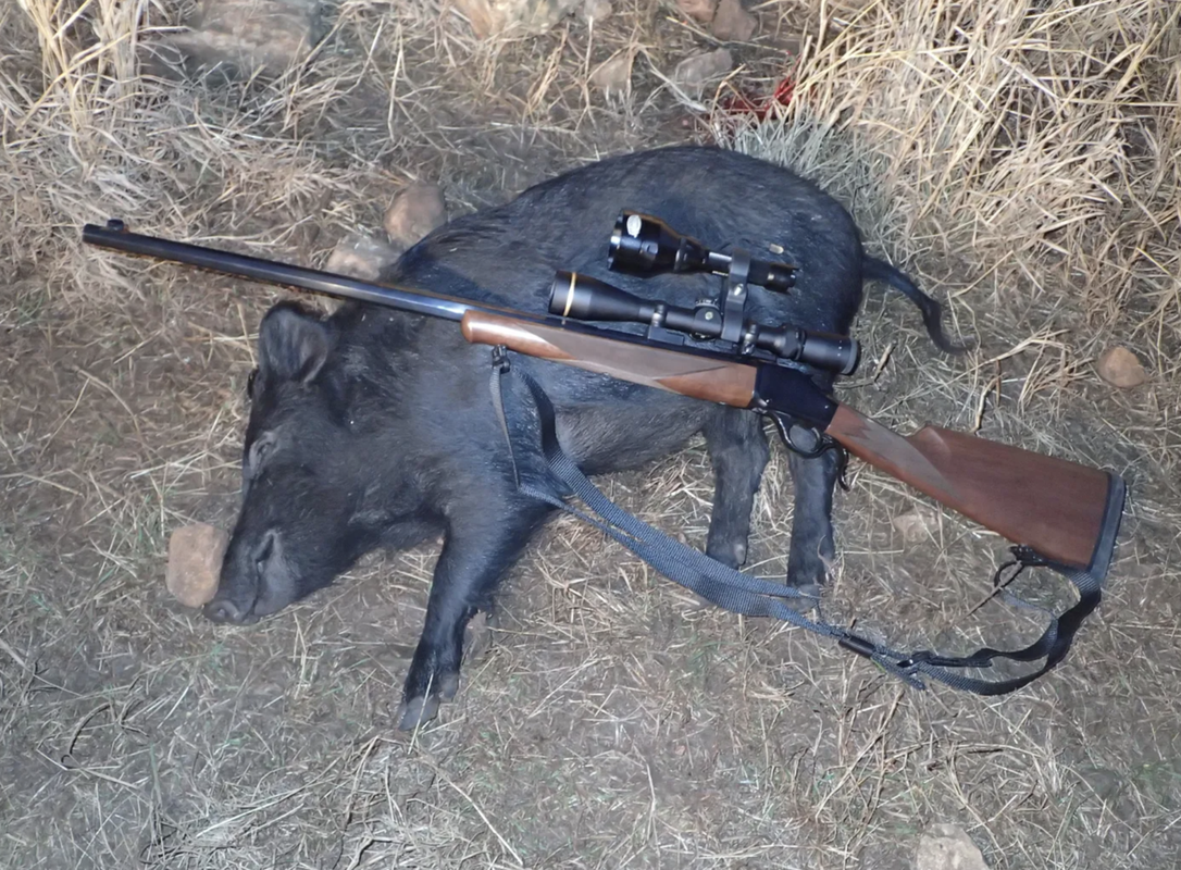 Screen Shot 2025-07-23 at 2.37.28 PM