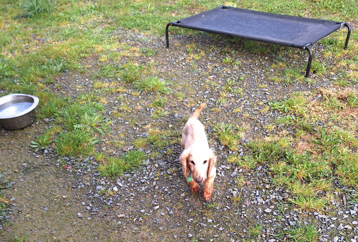 [Image: 20240329-090809.jpg]