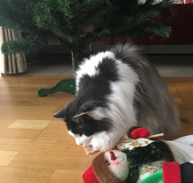 9-CA8-BDFA-7-CDB-4226-94-D3-1-B66-C5070-