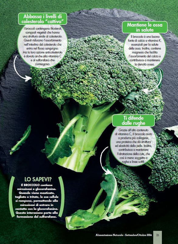 Alim Nat Set-Ott 2024 (4)