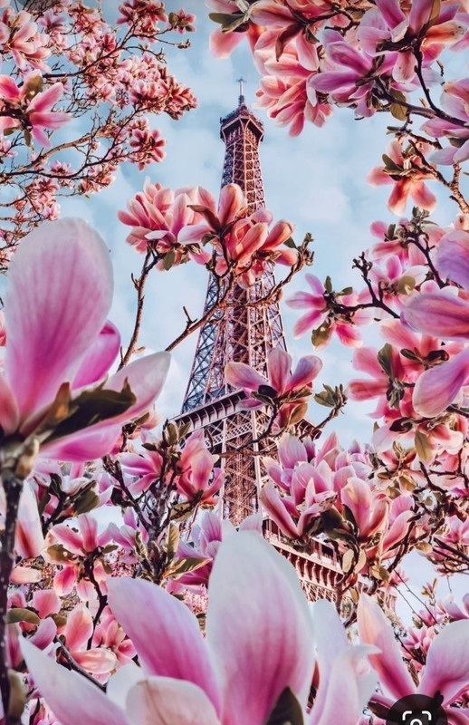 Screenshot_20230907_192900_Pinterest