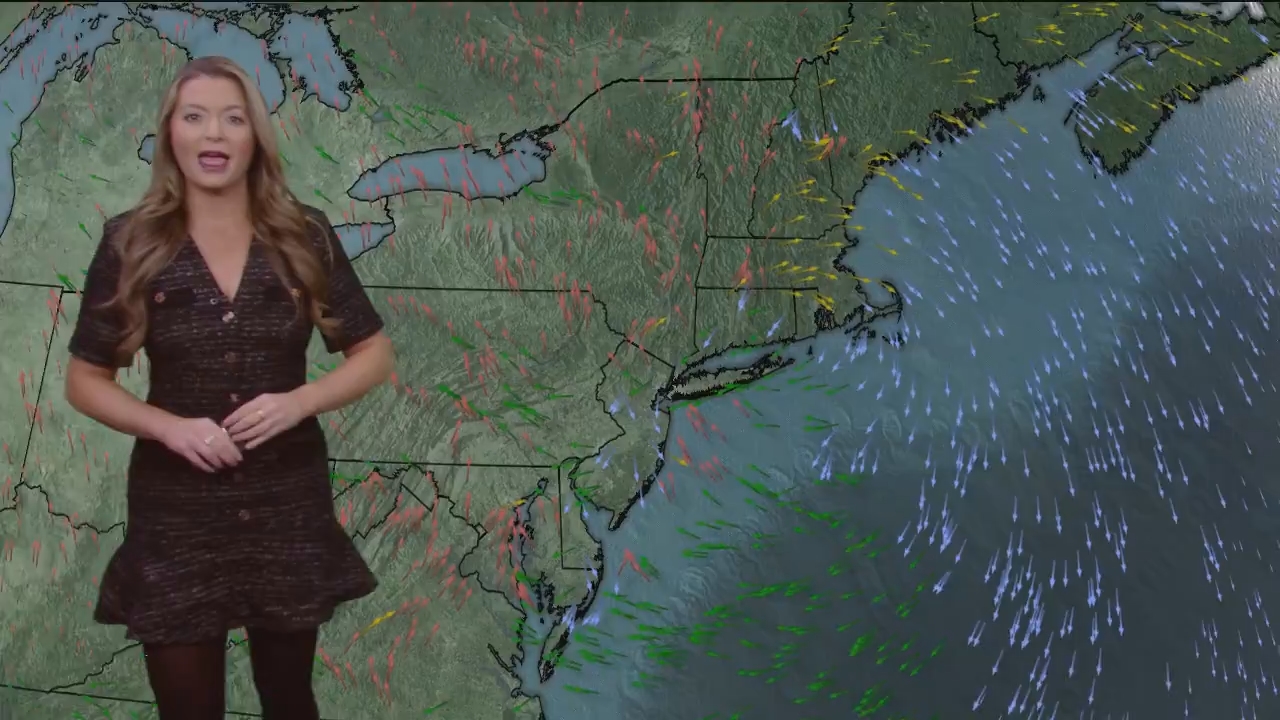 Eyewitness News Sunday Morning_20241110_11001300.ts_snapshot_00.02.54.230
