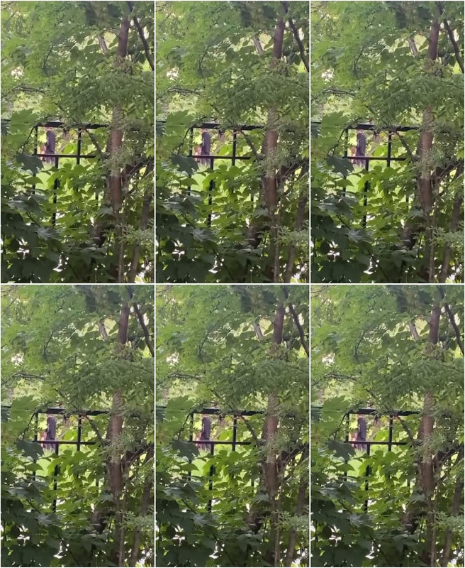 [Image: blowjob-2.jpg]