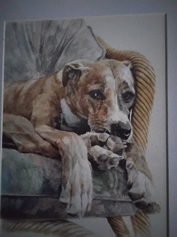 605147154 33525370490394799 3865650921477996949 n