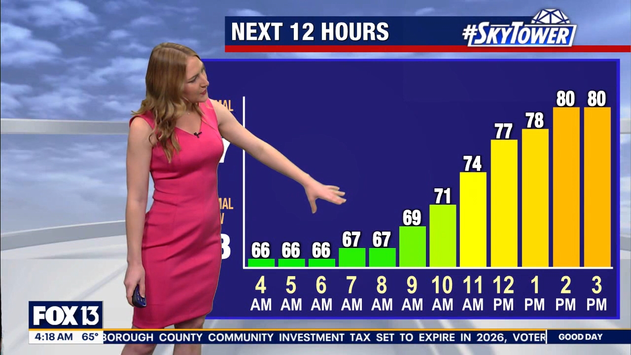 FOX13s Good Day Tampa Bay at 400am_20240307_09000930.ts_snapshot_19.27.737