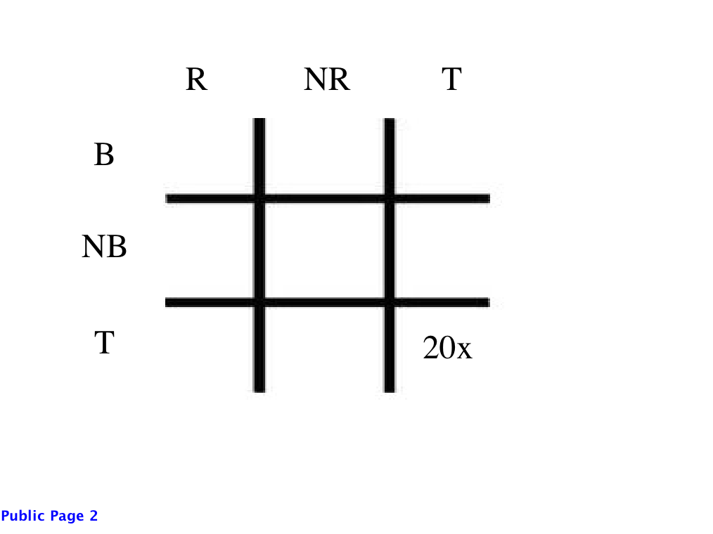 grid_laptop_bridge_retiree