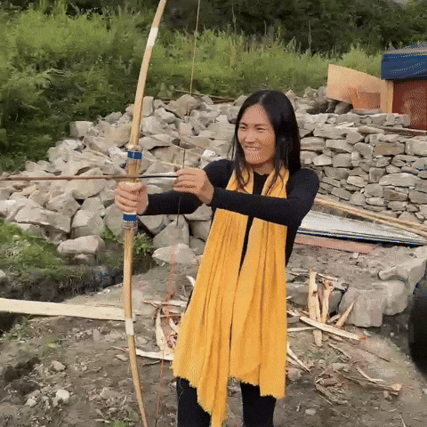giphy-3.gif