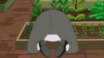 bobs-burgers-bob-belcher.gif