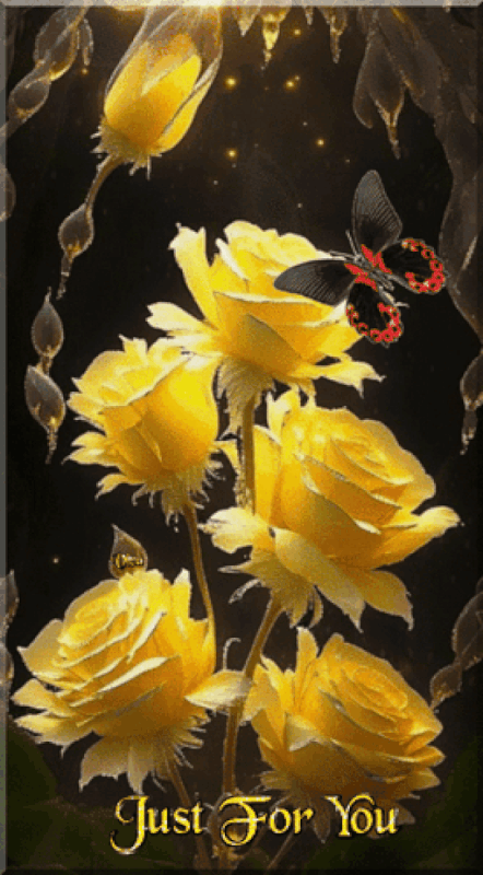 An den Beitrag angehängtes Bild: https://i.postimg.cc/4xS49Kx5/oie-3755332x-L8-XXwp-1.gif