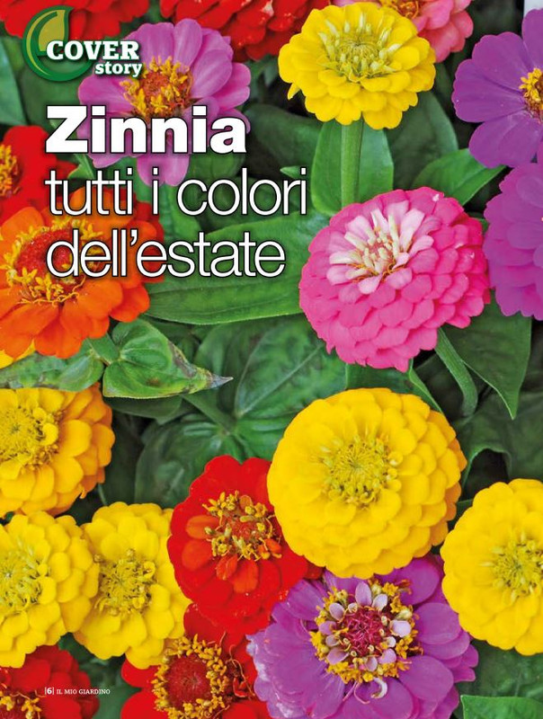 Il Mio Giar Mag-Giu 2020 (1)