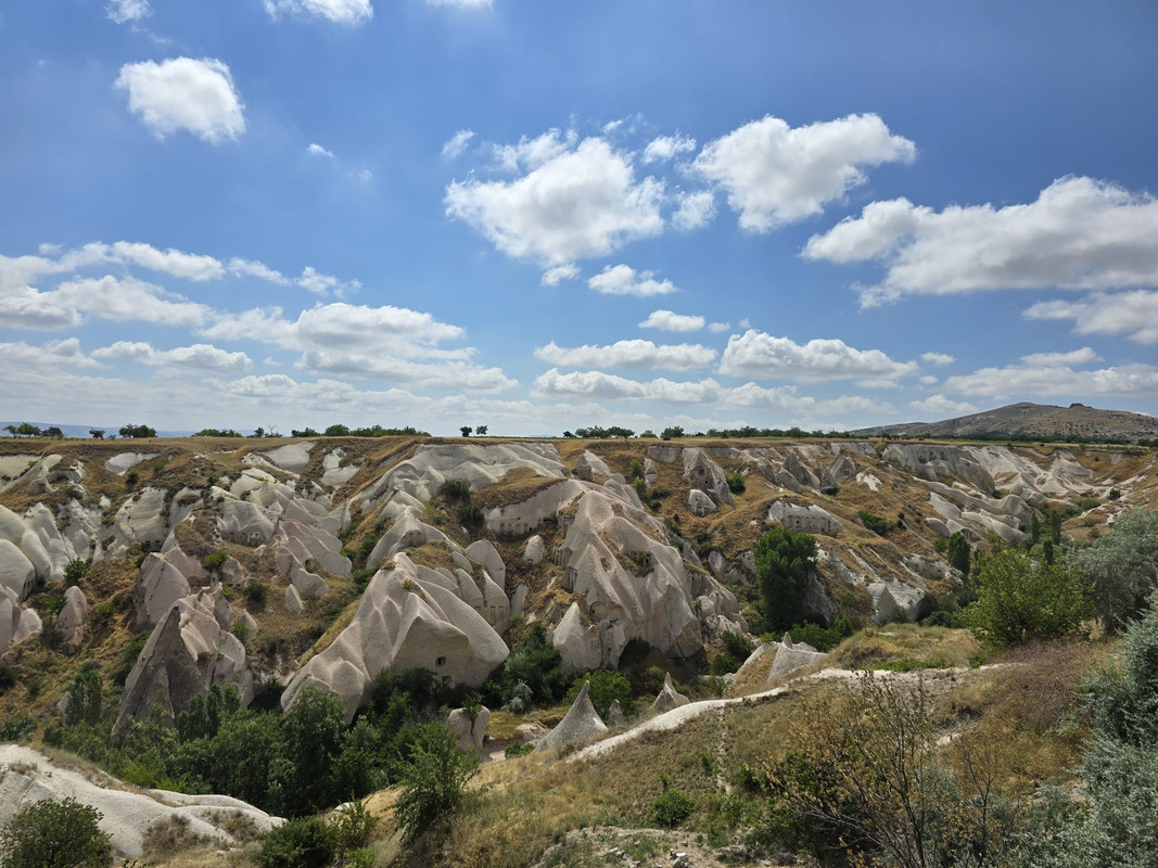 IMG-20240709-WA0200