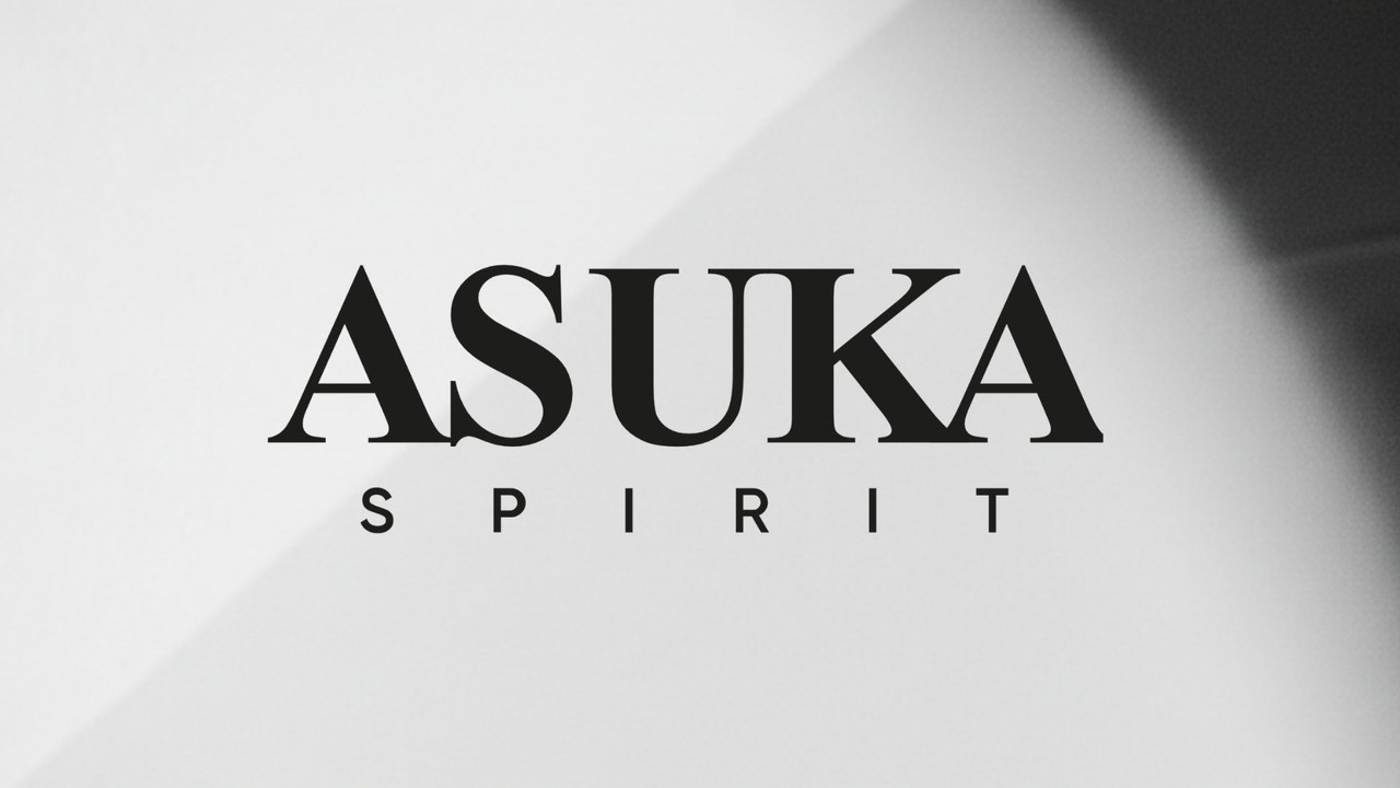Aperçu de la mission : (ASUKA SPIRIT) - Lead Developmenet, Technical product management