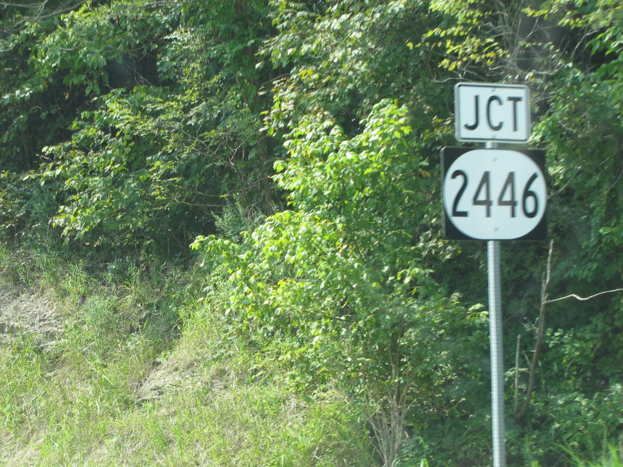 KY 2446 correct