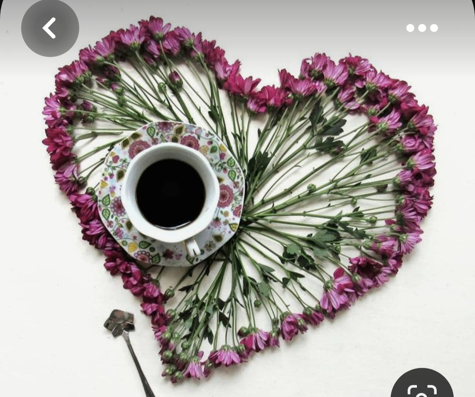 Screenshot_20230713_154735_Pinterest