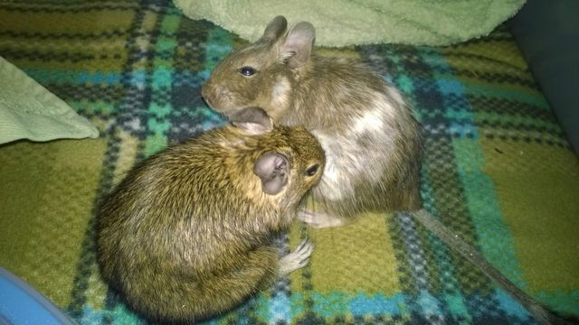 знакомство