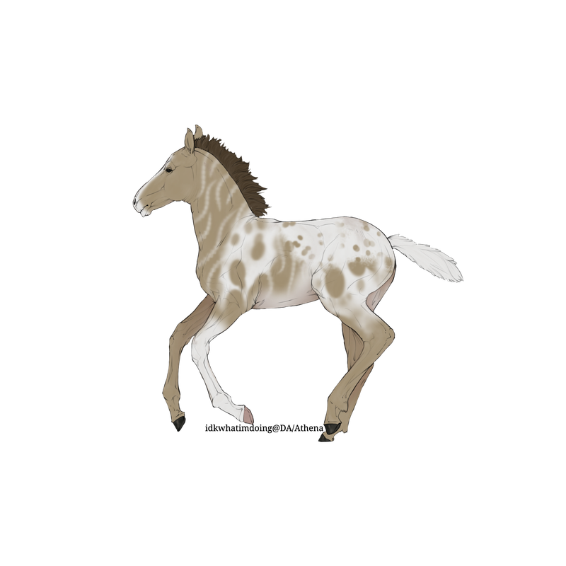 Untitled88-20250615172223.png