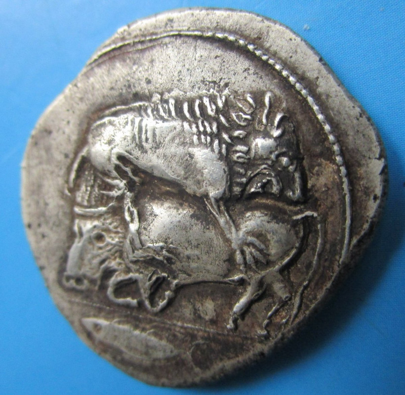 Tetradracma ático. Akanthos (Acanto, Actual Ierissos. Grecia). Año: 470-430 a.C. Dsv-BG-j-Uw-AALjjg