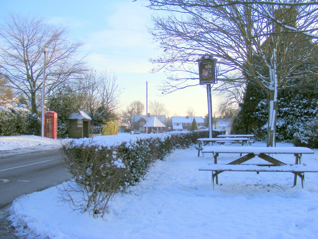 DSCF0166.jpg