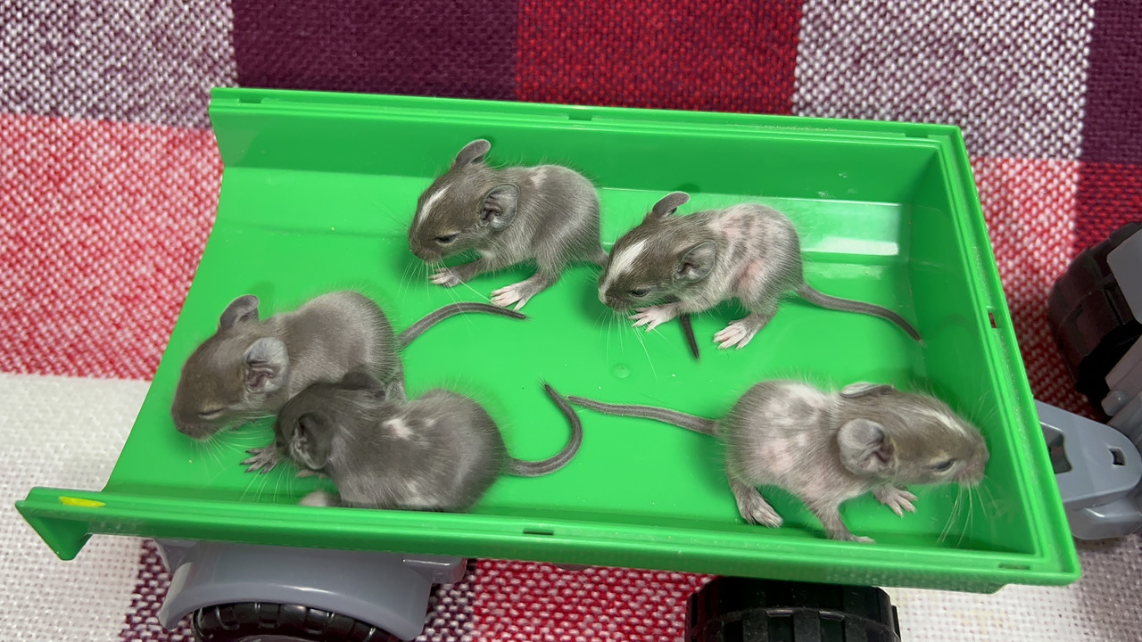 3CECA56B-0CC7-4B72-9843-7C17FACA1ECA