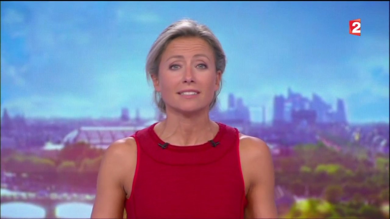 Anne-Sophie Lapix to edit 040917.mp4_snapshot_15
