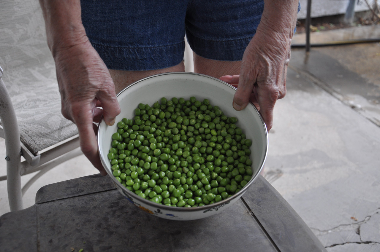 Peas 2026 01