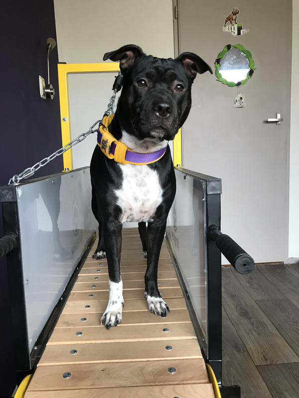 4D934B32-54E8-4BA5-ADB3-73801D16A81C