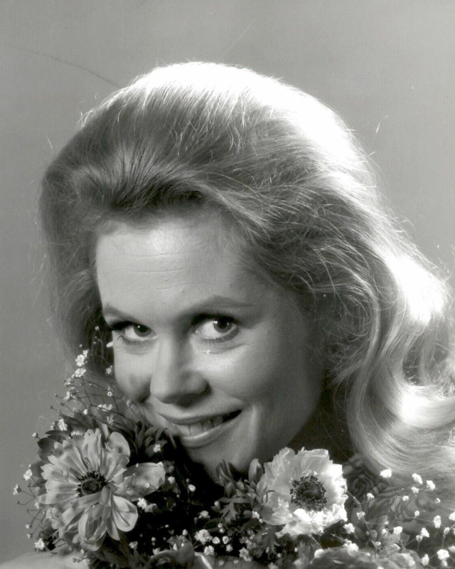 elizabeth montogomery d24