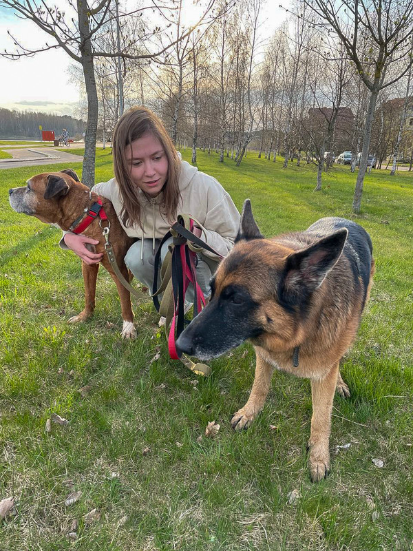 F9B06D55-89D8-4FE0-90EF-B9331118C6E9