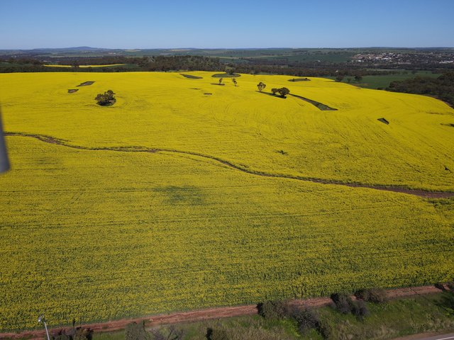 69641237-8389-4E2C-A035-440482D84643