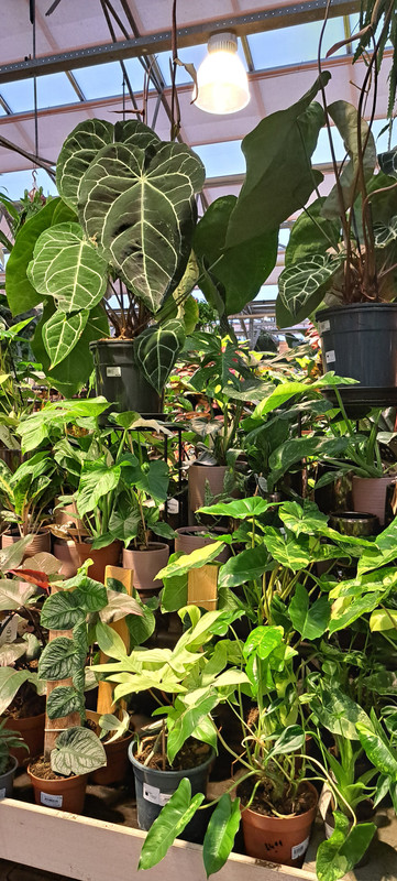 [Image: 20231012-165719.jpg]