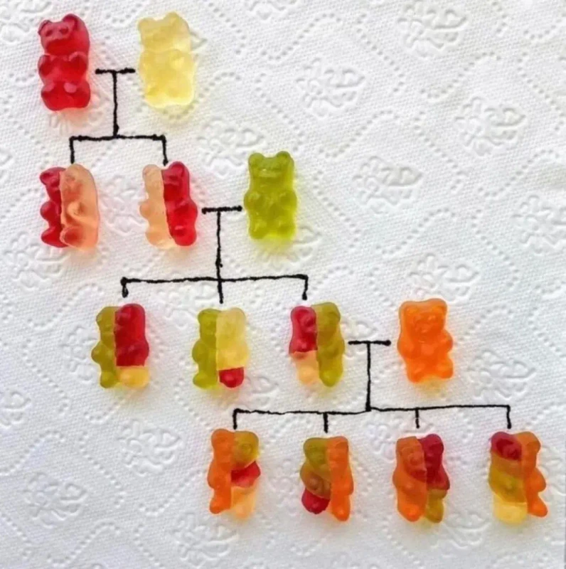 genetics