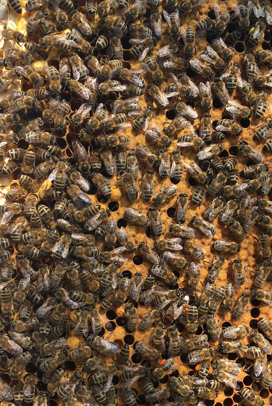 EC4B56F3-4C13-4B85-85F8-31E02BC02E31