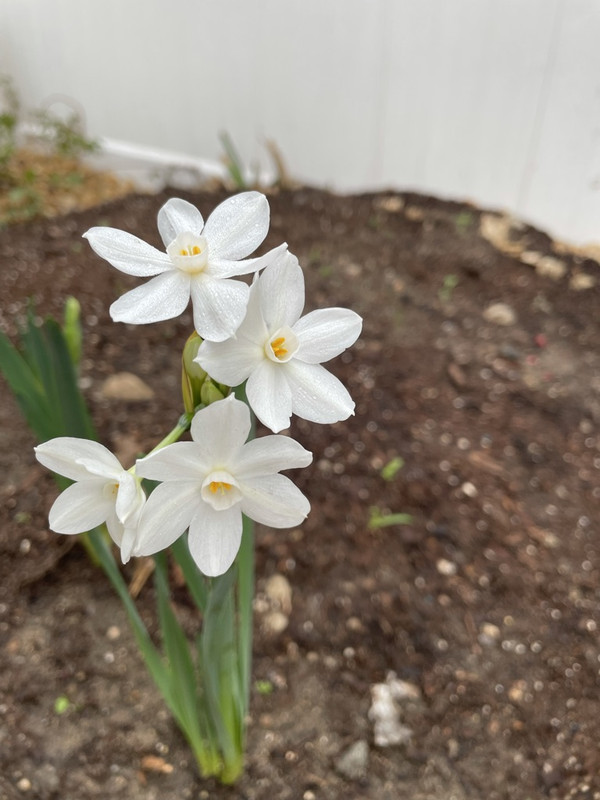 FEDB334F-13DE-4E16-AE6E-94A2FC95F2D6_1_105_c