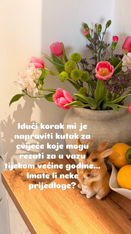 670533537 18585075388041884 3045939680795776589 n