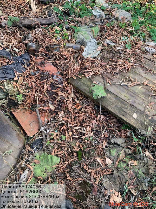 IMG_20251021_153325_868