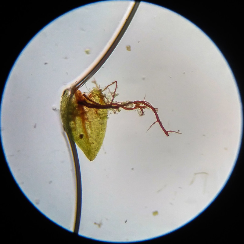 IMG 20250617 114837 HDR