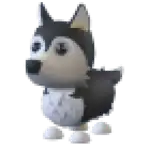 Husky