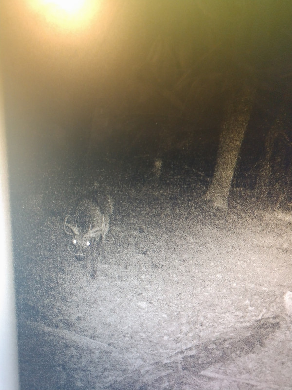 IMG_20191116_190744553_MP