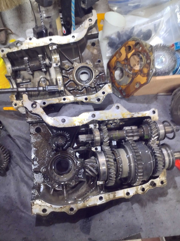 IMG_20250208_123559254